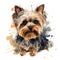 Detailed Cartoon Yorkie Dog in Watercolor Style