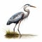 Detailed Character Illustration Of Blue Heron Hunting On White Background