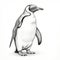 Detailed Character Illustration Of A Penguin In Pencil Drawing