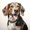 Detailed Charcoal Drawing Of A Beagle - Realistic Colors On White Background