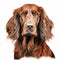 Detailed Charcoal Drawing Of Irish Setter - Realistic Colors On White Background