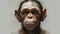 Detailed Chimpanzee Face Drawing In The Style Of Craig Mullins