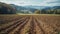 Detailed close up of plowed field in switzerland, perfect for planting young stems