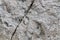 Detailed close up surface of granite and concrete walls and floors