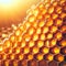 Detailed close-up view of a natural honeycomb