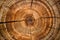 Detailed closeup reveals annual growth rings in tree circle patterns