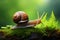 A detailed closeup of a snail navigating through vibrant green moss and ferns bathed in soft sunlight