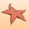 Detailed colored starfish isolated on beige background. Sea star.