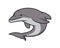 Detailed Cute Dolphin Jumping Gesture Illustration