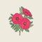 Detailed drawing of beautiful dog roses growing on stem with leaves. Pink blooming flowers hand drawn in elegant antique