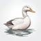Detailed Duck Illustration In White With Soft Lines And Clean Background
