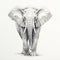 Detailed Elephant Drawing In Pencil On White Background