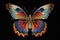 Detailed Examination Of Colorful Butterflys Delicate Wipngs. Generative AI