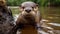 Detailed Facial Features Of A Small Otter In Brazilian Zoo