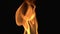 Detailed Fire Background Full Hd