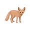 Detailed flat vector icon of cute fennec. Small pale fox with large pointed ears and fluffy tail. Wild animal of