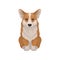 Detailed flat vector icon of cute Welsh corgi.Dog with fluffy red coat and short legs. Home pet. Domestic animal