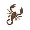 Detailed flat vector icon of Egyptian scorpion. Creature with eight legs, pair of claws and narrow tail with venomous