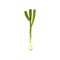 Detailed flat vector icon of fresh garlic with green stem and roots. Organic food. Natural cooking ingredient