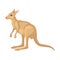 Detailed flat vector icon of kangaroo, side view. Large Australian marsupial animal with long tail and strong hind legs