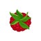 Detailed flat vector icon of ripe raspberry with green peduncle. Sweet summer berry. Natural food. Fresh juicy fruit