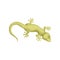 Detailed flat vector icon of small-spotted lizard. Reptile with long body and tail, four legs, movable eyelids and green