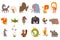 Detailed flat vector set of funny animals. Horse, sheep, bison, elephant, lion, giraffe, squirrel, frog, wild boar
