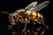 A detailed and focused image of a bee captured in close-up, set against a dark black background, Genetically modified robotic