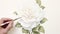 Detailed Geranium Watercolor Painting Of White Rose