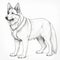 Detailed German Shepherd Illustration With Bobbed Tail And Distinct Markings