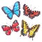 Detailed hand drawn marker butterflies. Set of butterflies