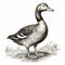 Detailed Hand Drawn Sketch Of A Duck In Thomas Nast Style