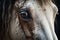 Detailed Horse head closeup. Generate Ai