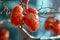 Detailed Human Kidneys and Adrenal Glands Anatomy Illustration for Educational Use