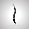 Detailed human spine, simple black icon on gray