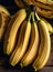 Detailed hyperrealistic bananas in cozy neutral warm