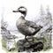 Detailed Illustration Of A Duck By The Water