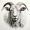 Detailed Illustration Of A Goat\\\'s Head In Black Ink
