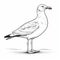 Detailed Illustration Of A Gull Standing On A Beach