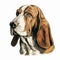 Detailed Illustration Of A White And Brown Basset Hound Head