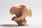 A detailed image of a mushroom captured up close against a plain white background., Mushroom in the form of a wave on a white