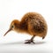 Detailed Kiwi Bird In Algorithmic Artistry On White Background