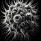 A detailed, microscopic view of a virus.