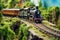 detailed miniature railroad track with model steam train