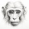 Detailed Monochromatic Monkey Portrait: Scientific Illustration