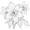 Detailed Monochrome Coloring Pages Of Realistic Flowers For Kids