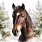 Detailed Morgan Horse Head Portrait In Snowy Pine Forest