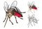 Detailed Mosquitoes Cartoon Character with Flat Design and Line Art Black and White Version
