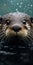 Detailed Otter Portrait: A Sensory Experience For Your Lock Screen