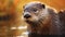 Detailed Otter Portrait In Soft Light: A Captivating Photography